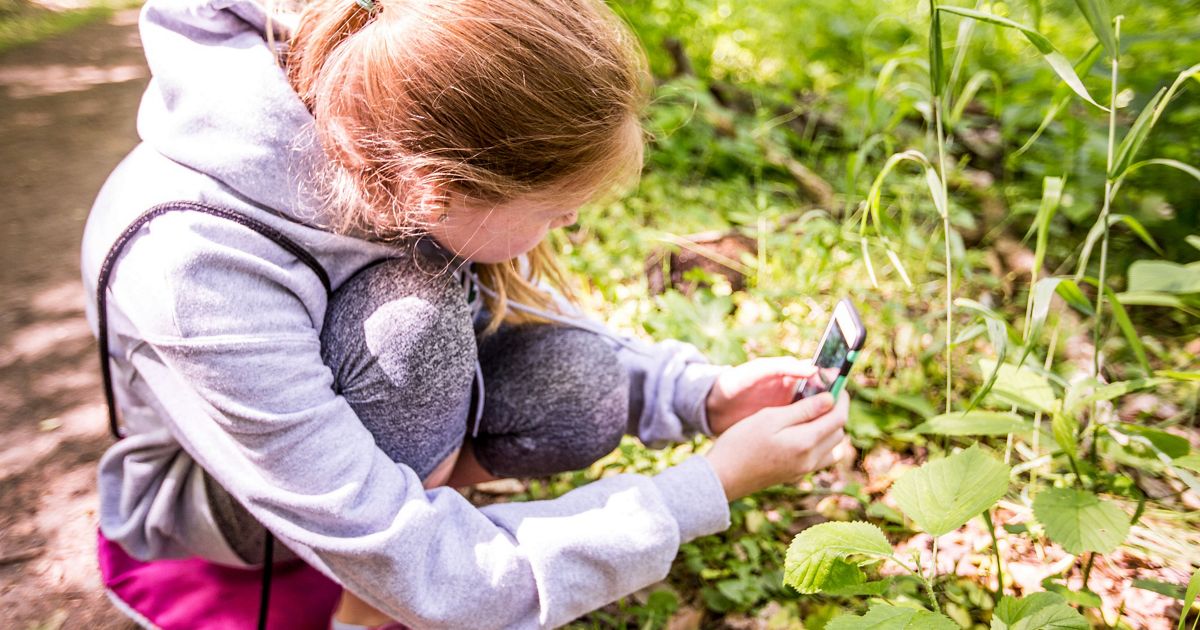 City Nature Challenge Maryland/DC | The Nature Conservancy