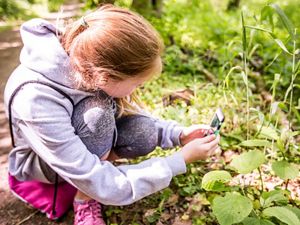 A girl takes a photograph of a species of plant to upload to iNaturalist.