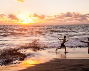 at the Nature Conservancy's Blowing Rocks Preserve, on Jupiter Island, Florida. Blowing Rocks Preserve is the largest limestone outcropping on the East Coast.