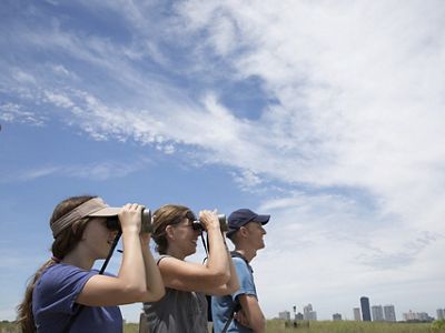 Three people look through binoculars in a field of prairie grasses.