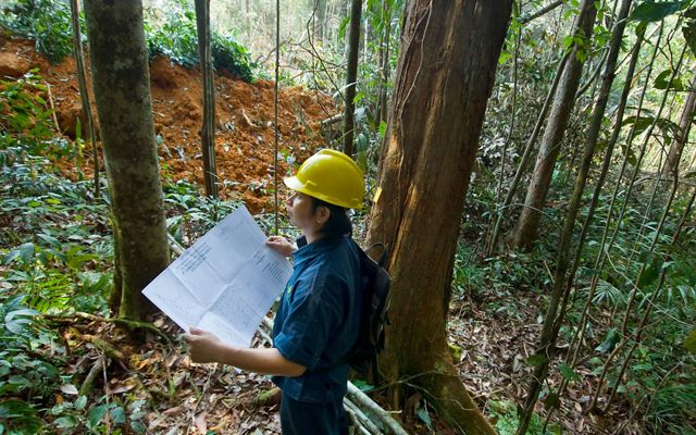 A forest planner tags trees for reduced-impact logging practices in Borneo, Indonesia.