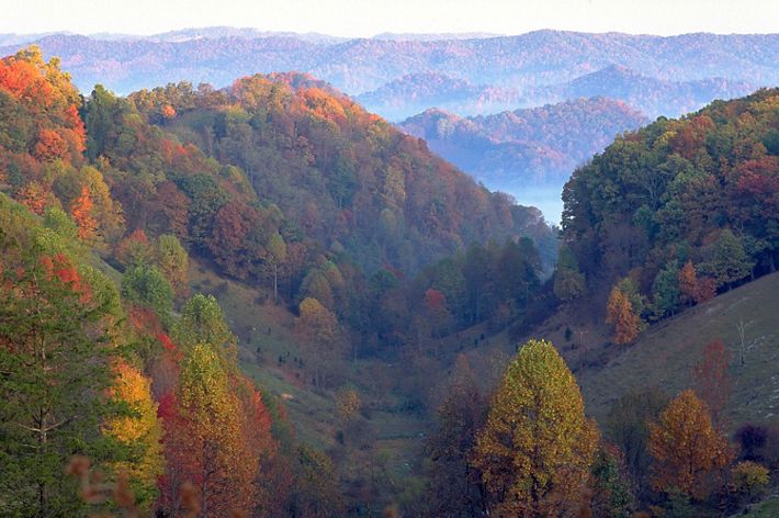 View looking down through a valley. Its sides are covered with trees in falls colors of red, orange and gold. White mist rises from the valleys of the rolling ridges in the background.