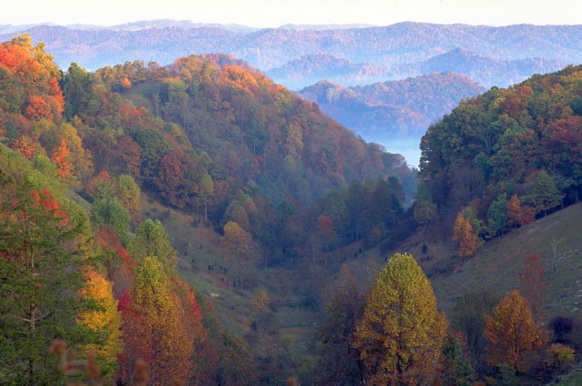View looking down through a valley. Its sides are covered with trees in falls colors of red, orange and gold. White mist rises from the valleys of the rolling ridges in the background.