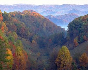 White mist rises from the deep valleys between a series of rolling mountain ridges. The trees on the forests slopes are beginning to show fall colors or gold, red and orange.