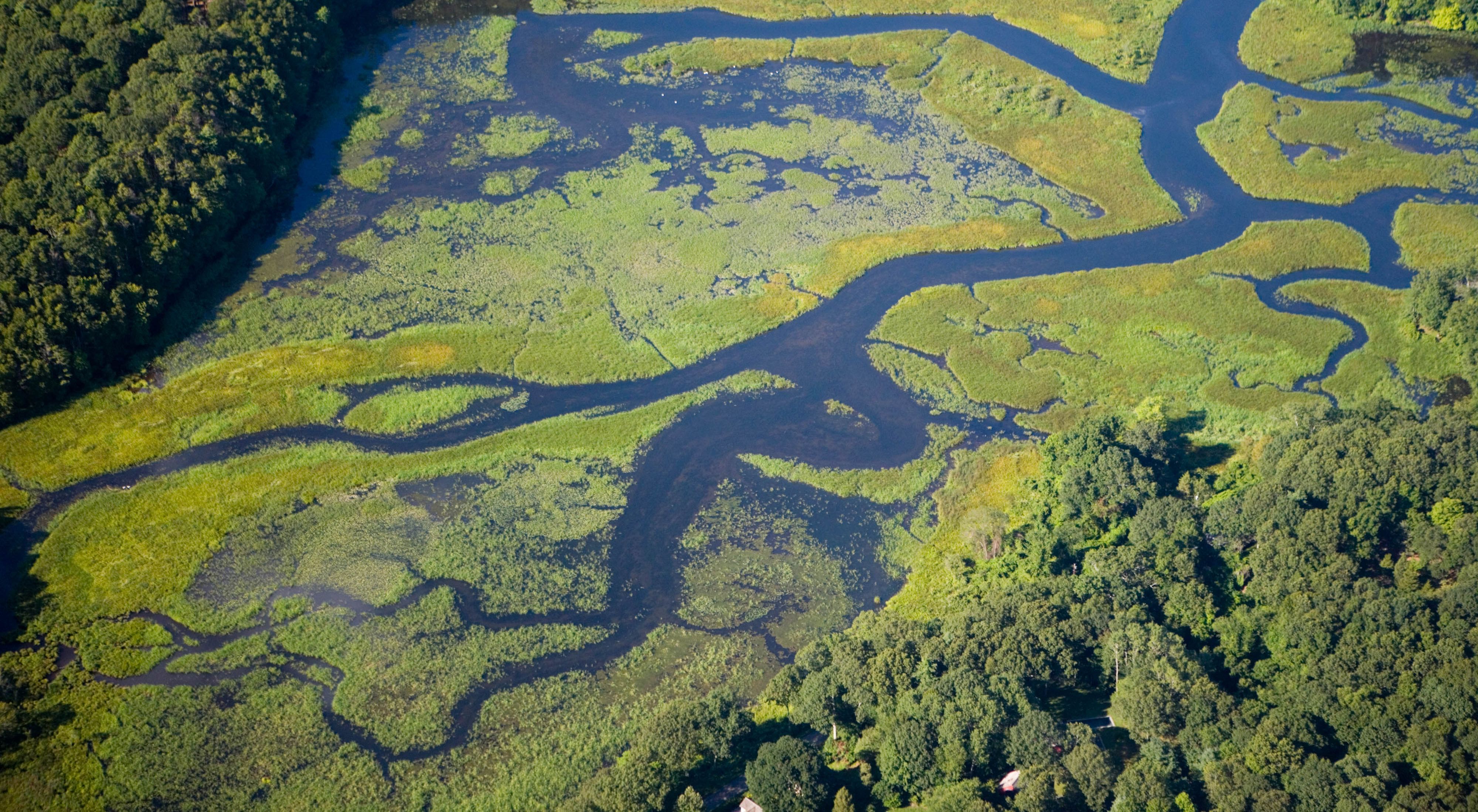 Aerial view of a river winding through a forest.