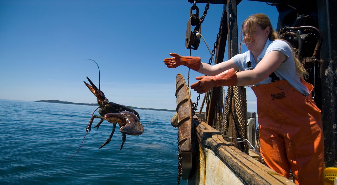 A woman wearing orange coveralls tossing a lobster over