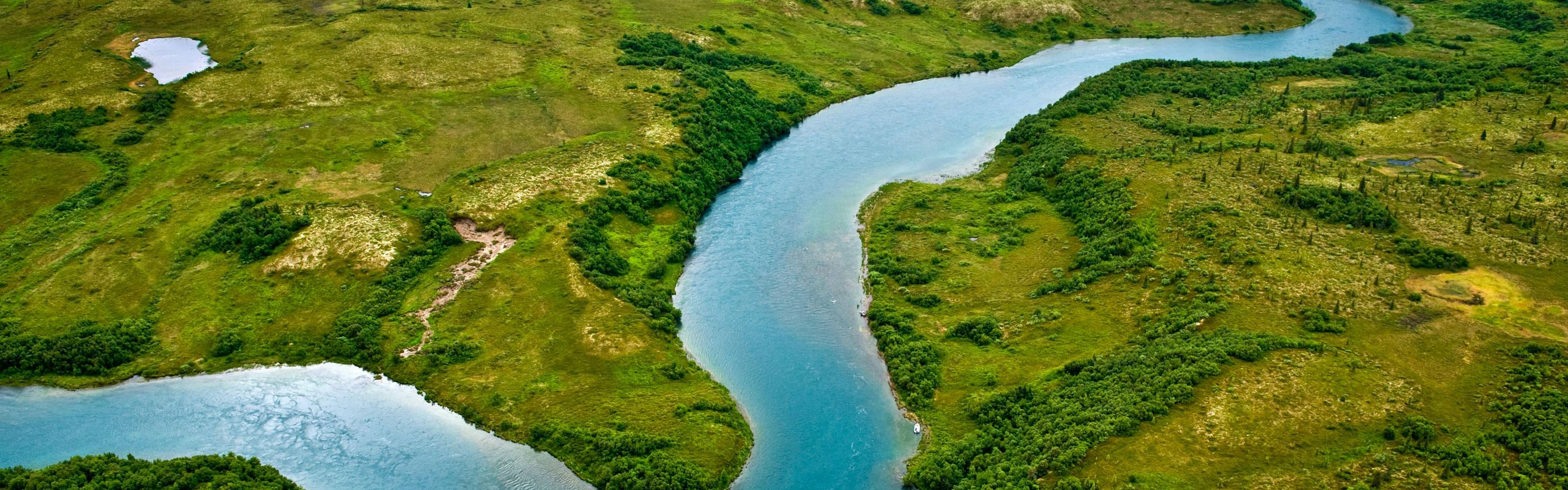 The gravel bottoms and braided channels of rivers leading into Iliamna Lake in southwest Alaska are ideal for the many king salmon that spawn in the lake's waters.