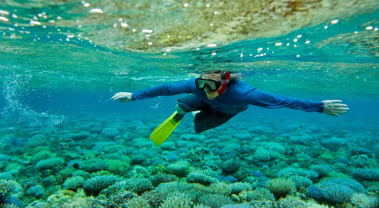 Underwater view of a snorkeler swimming just below the surface of a body of water.