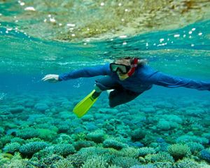 Underwater view of a snorkeler swimming just below the surface of a body of water.