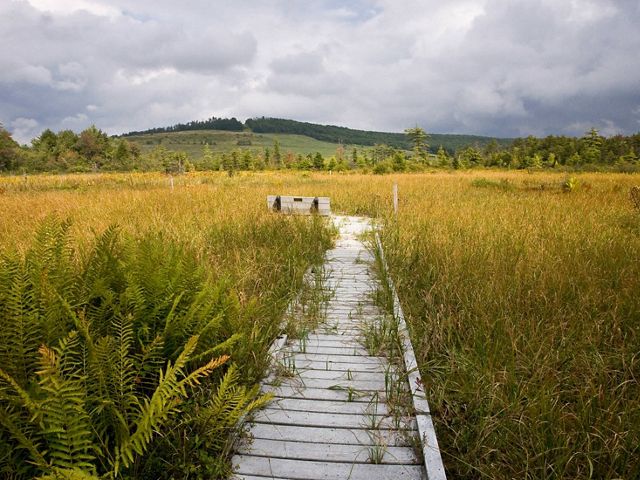 Cranesville boardwalk