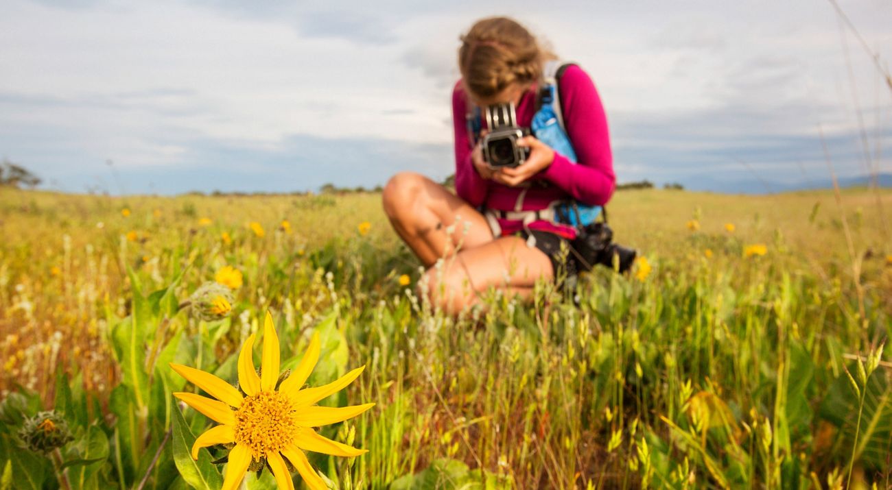 A woman kneels in a grassy field as she photographs a yellow flower in the foreground.
