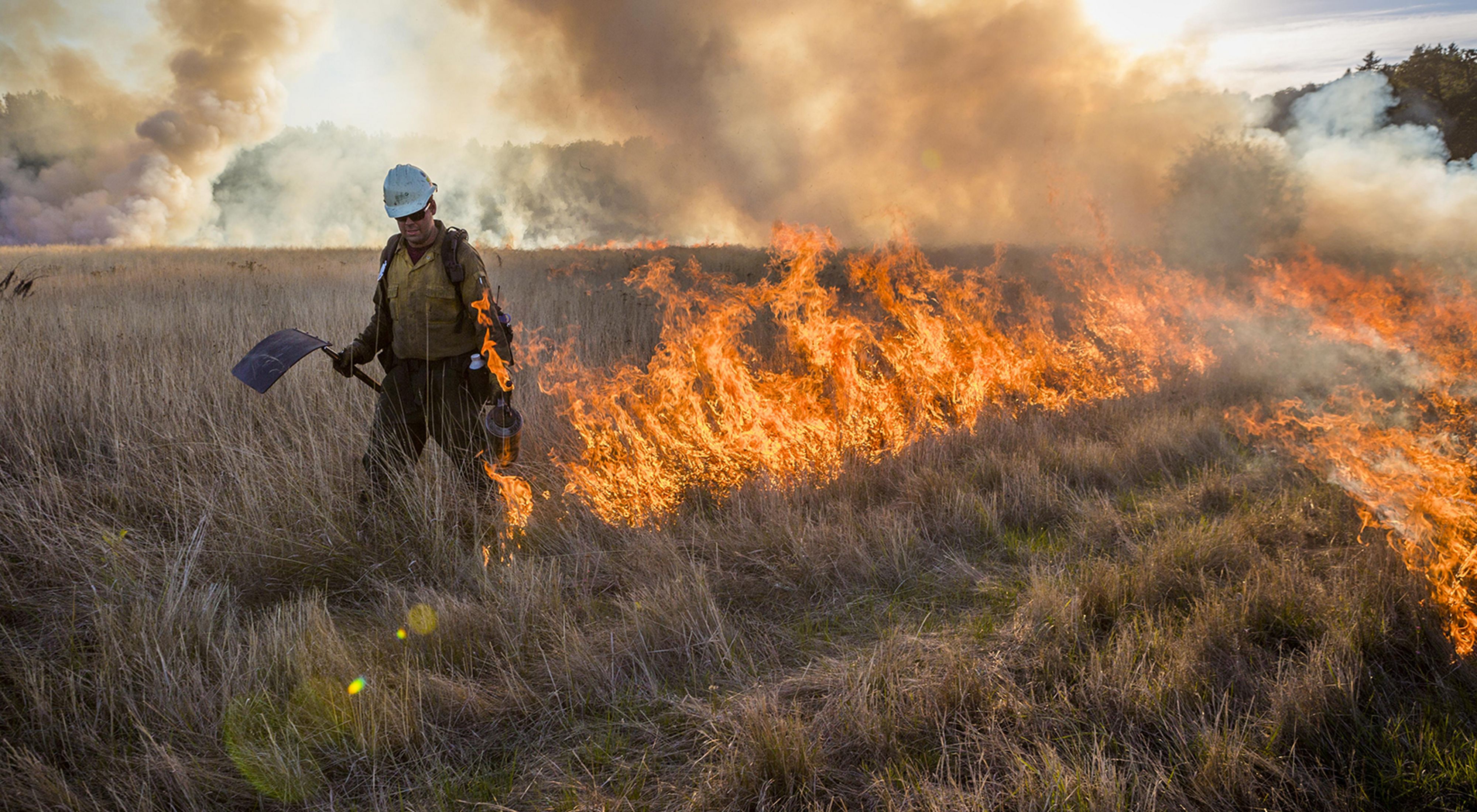 The Nature Conservancy conducts a prescribed burn in Willamette Valley, Oregon. Burns help to promote regeneration of native species in this historically fire adapted ecosystem.