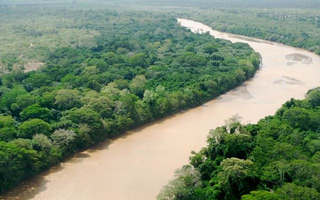 Aerial view of a wide muddy river winding through thick green forests.