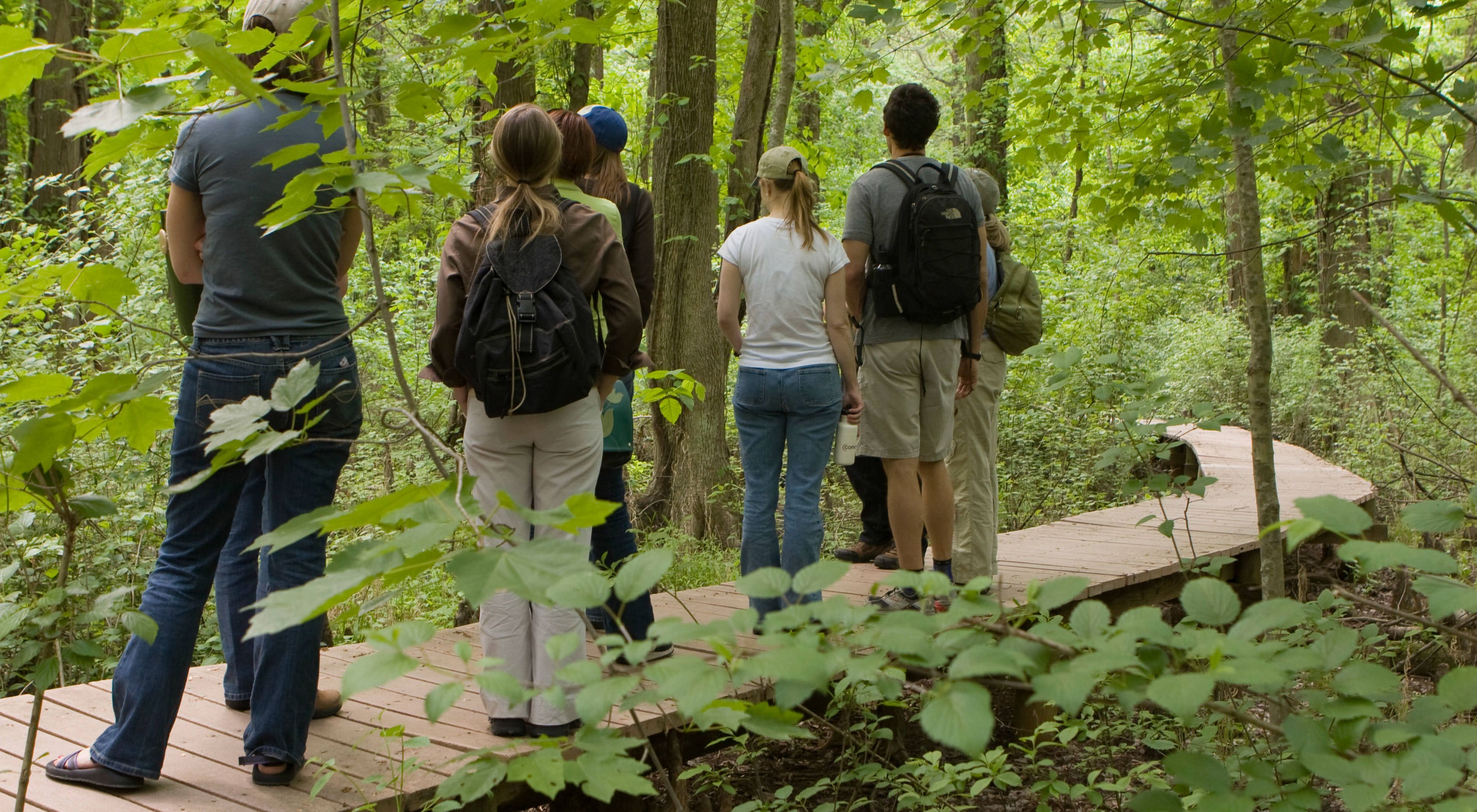 A group of six people stand together on a boardwalk in the middle of a forest. They are all facing away from the camera, looking into the trees. The wooden boardwalk curves ahead and disappears.