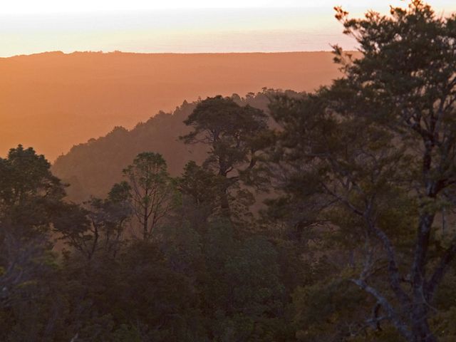 Sunset on evergreen temperate forest overlooking the Pacific Ocean at The Nature Conservancy's Reserva Costera Valdiviana, (Valdivian Coastal Reserve), a 147,500 acre site comprising temperate rainforest and 36km of Pacific coastline south of Valdivia, Chile.