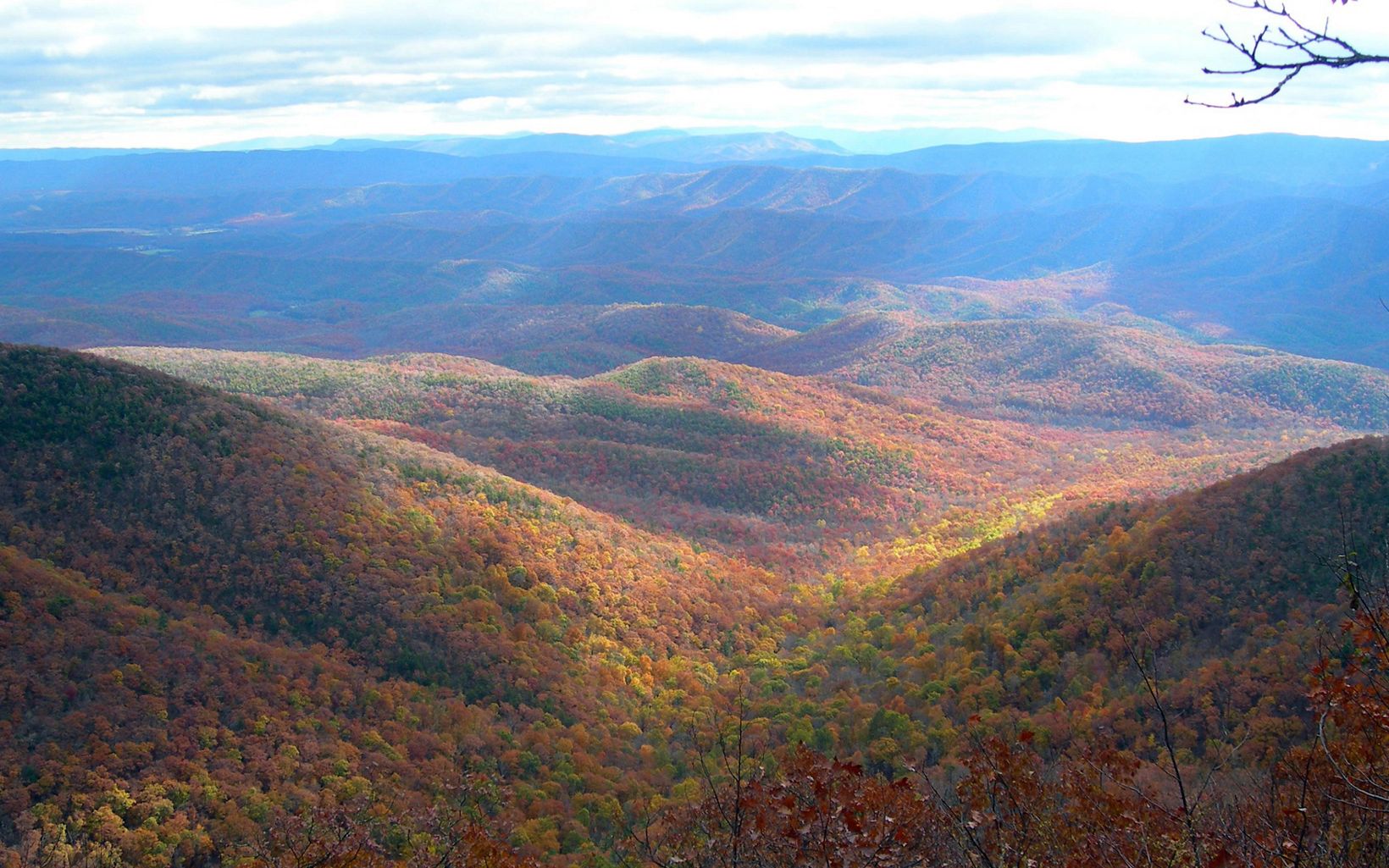 Overlook view of a wide forested valley. The afternoon sun creates shadows across the mix of green and gold leaves. Blue tinged mountains rise in the distance.