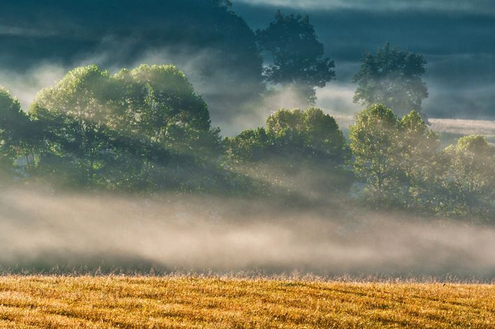 in the Great Smoky Mountains National Park.