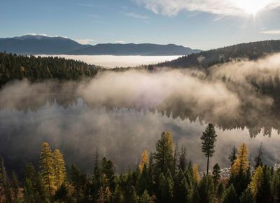 Fog settles over a dense forest, with a body of water and mountains in the far distance.