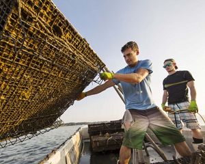 Workers at Rappahannock Oyster Company in Virginia