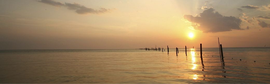 View of sunset over the Chesapeake Bay with posts sticking out of the water.