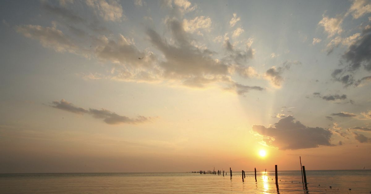 Stories in Maryland and D.C. | The Nature Conservancy