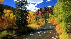 The San Miguel River meanders through tall red-colored rock walls and autumn-colored trees that line the shore at San Miguel Canyon Preserve in Colorado.