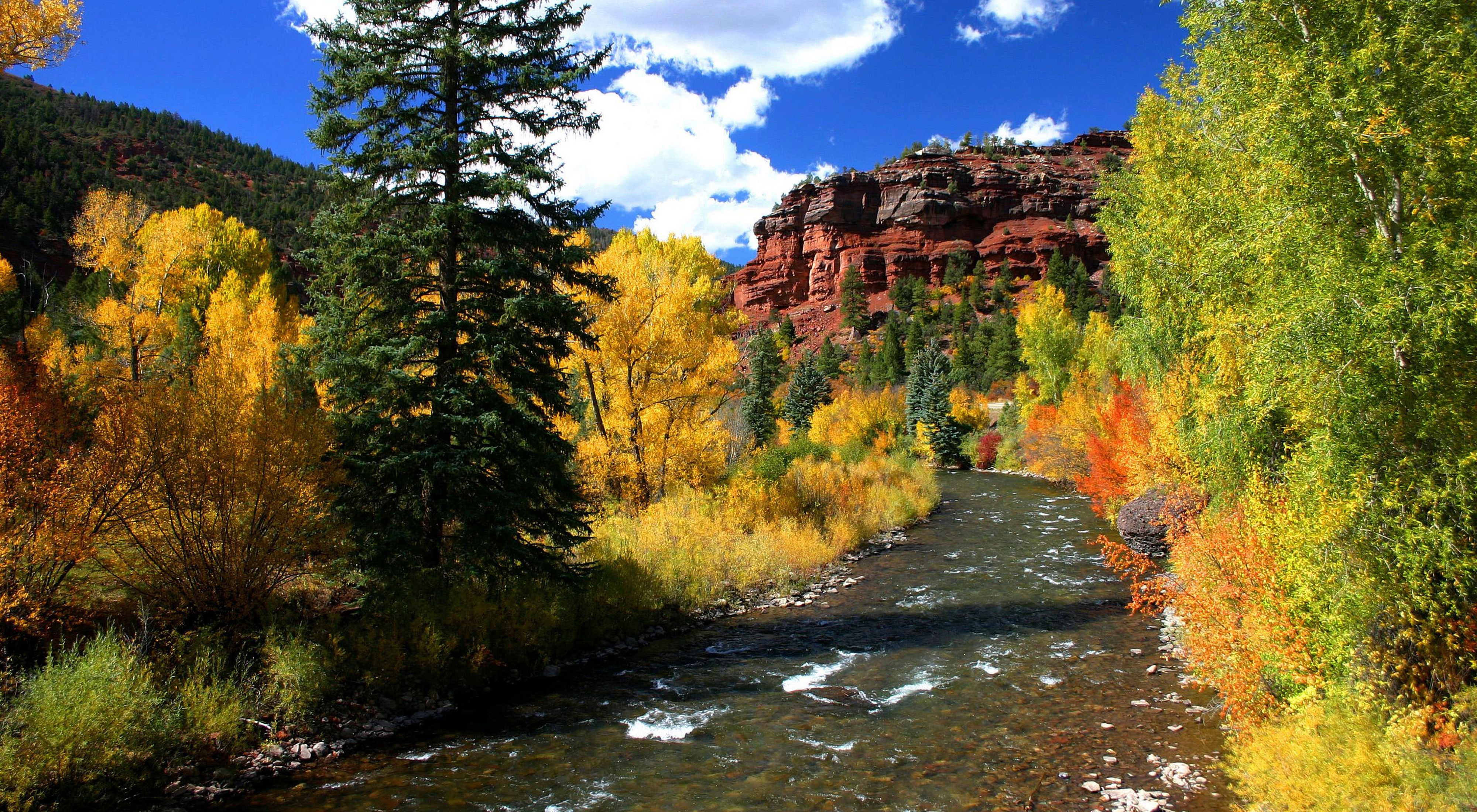 The San Miguel River meanders through tall red-colored rock walls and autumn-colored trees that line the shore at San Miguel Canyon Preserve in Colorado.