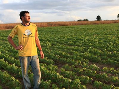 Fernando Pallaro is one of the soy farmers working with the Conservancy in Santarém, in the state of Pará, Brazil. Understanding that conversion to agriculture and cattle ranching is the greatest threat to the Amazon rainforest, the Conservancy works in strategic municipalities of the Brazilian Amazon – such as Santarém – to implement strategies to control deforestation and promote the responsible production of soy and beef among farmers and ranchers.