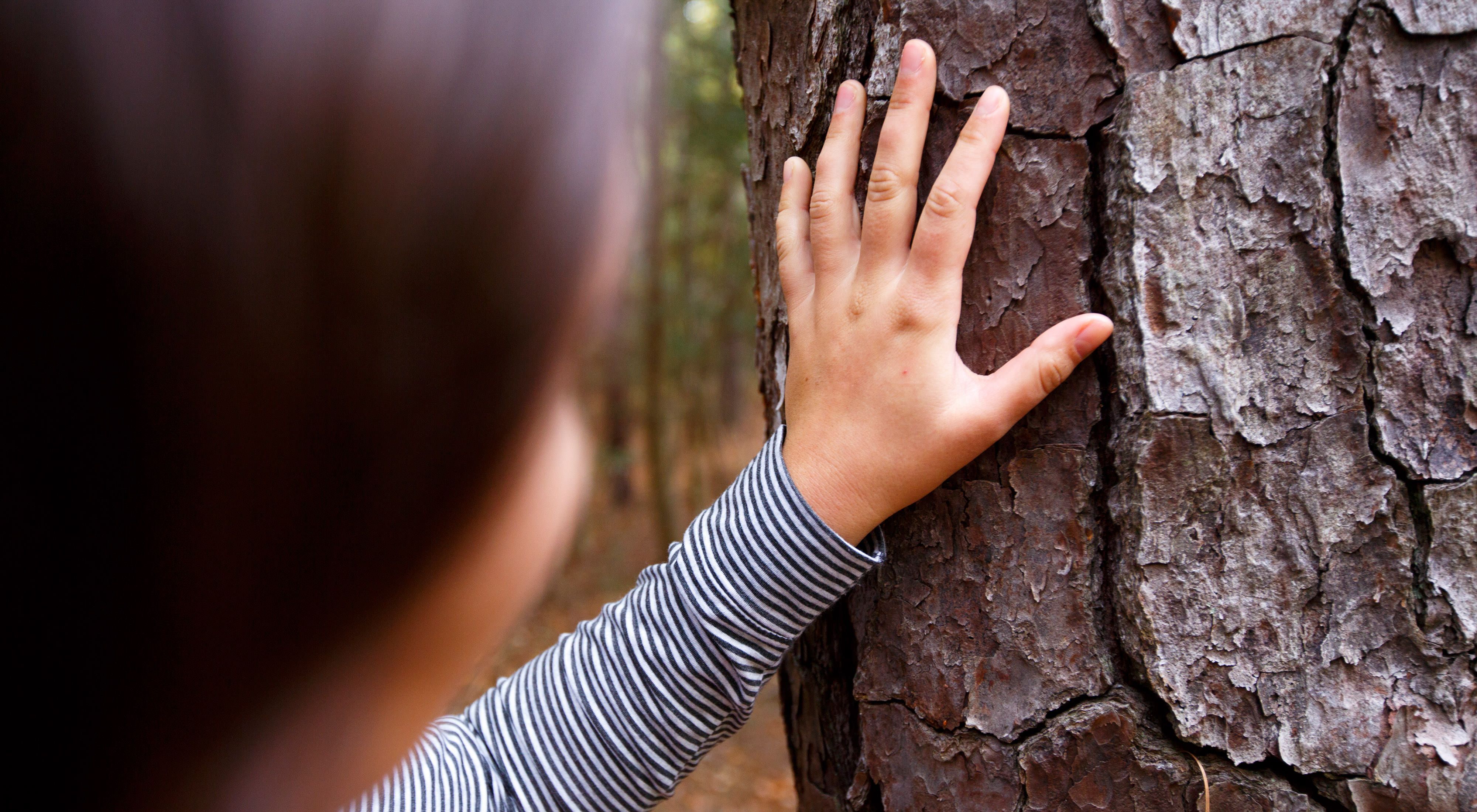 A young girl stands in front of a tall pine tree with her hand pressed against the tree's thick bark.