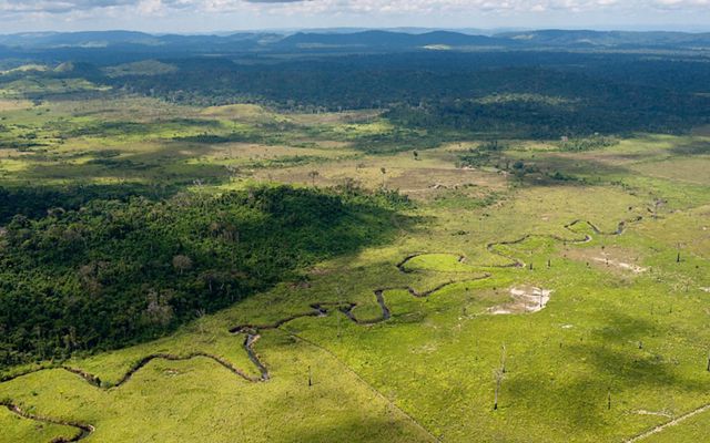 An aerial view showing forest cleared for cattle ranching at Sao Felix do Xingu, a municipality in the Brazilian Amazon that has one of the highest rates of deforestation in the country.