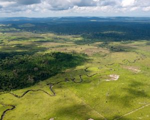 an aerial view of rainforest contrasted with clear cut agricultural land