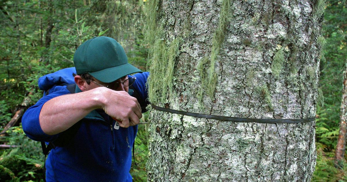 Natural Climate Solutions Accelerator Grant | TNC
