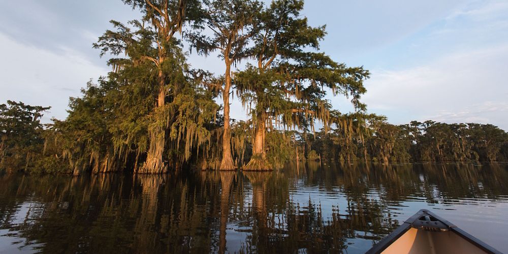 Lake Martin Louisiana