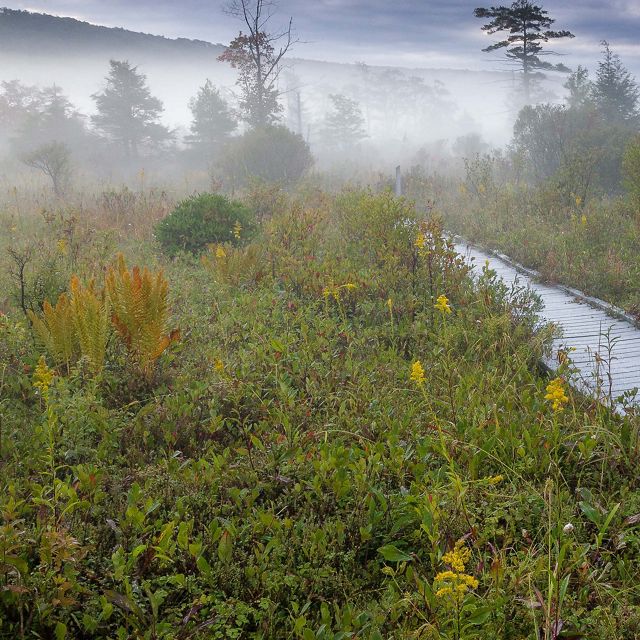 The Nature Conservancy in Maryland/D.C.