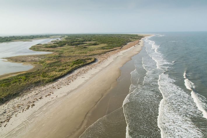 Aerial view of Smith Island, a narrow stretch of sand backed by green scrub and fronted by gently lapping waves.