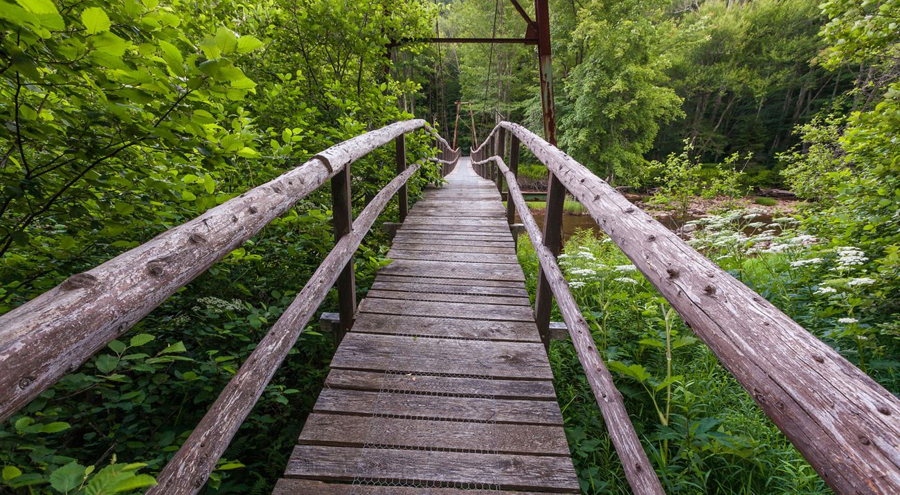 Suspended pedestrian bridge at Upper Shavers Fork Prese