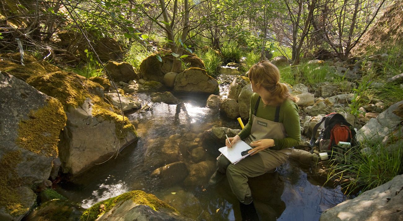A woman wearing waders sits by a wooded stream with a notebook and pencil in her lap and a backpack and other research equipment around her.
