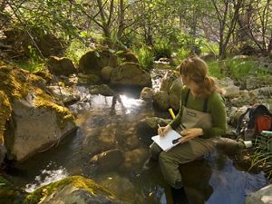 A woman wearing waders sits by a wooded stream with a notebook and pencil in her lap and a backpack and other research equipment around her.