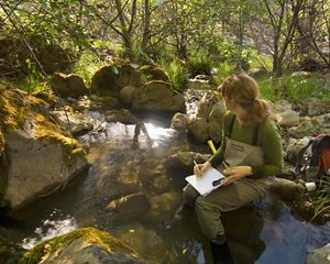 A woman wearing waders sits by a wooded stream with a notebook and pencil in her lap and a backpack and other research equipment around her.