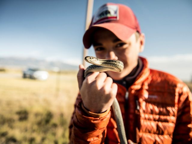 A young visitor holds a garter snake.