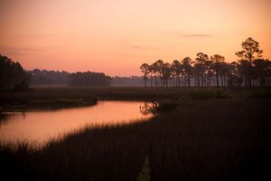 A pink sky frames river and surrounding forest.