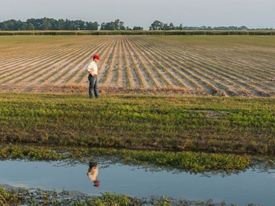 Nature Conservancy staff work with farmers throughout the Gulf region to improve hydrology and water filtration.