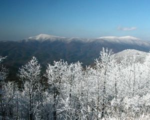 A view through snow covered trees at a distant blue-tin