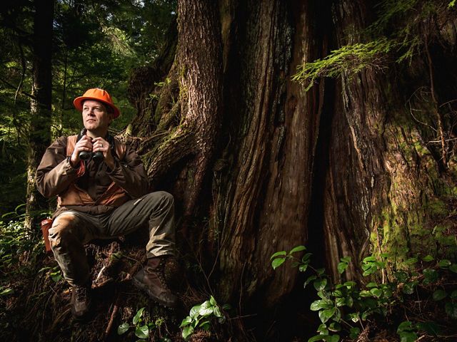 Tom Kollasch in old growth forest and with big cedars at the Ellsworth Creek Preserve