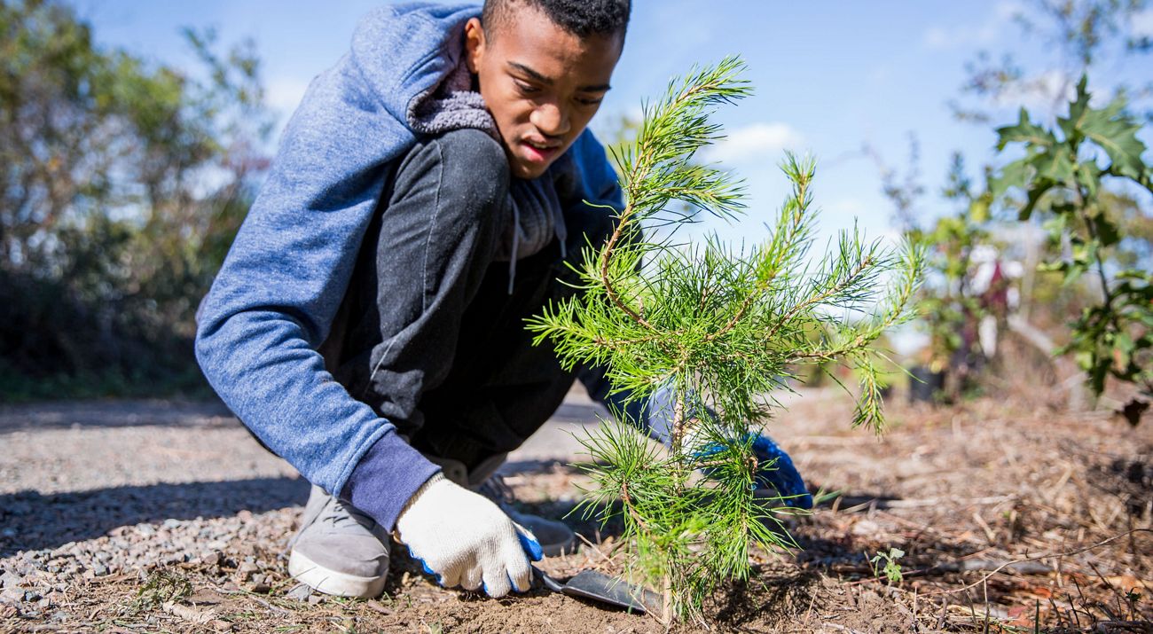 A young person kneels and plants a sapling.
