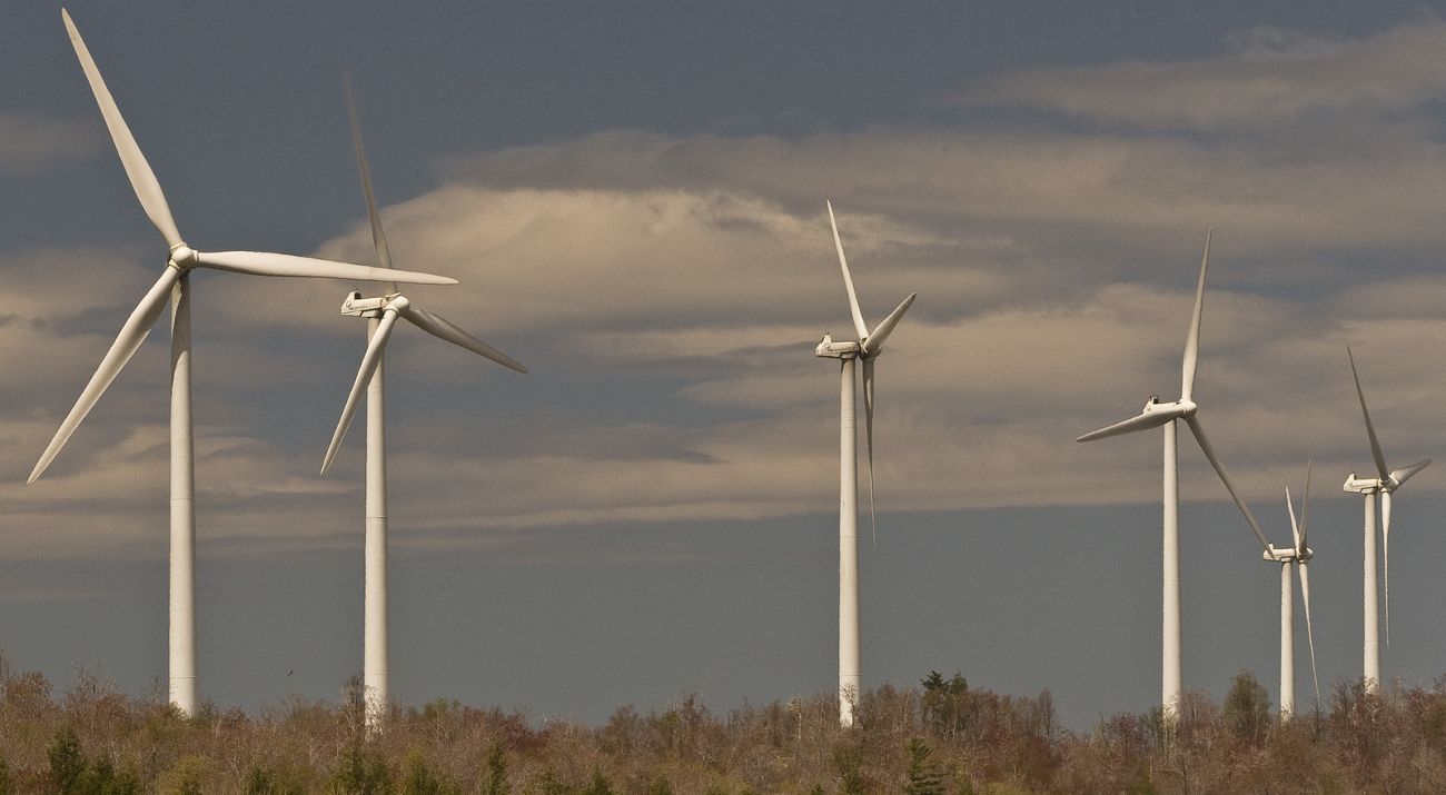 Several wind turbines stand in a row amidst a wooded area.