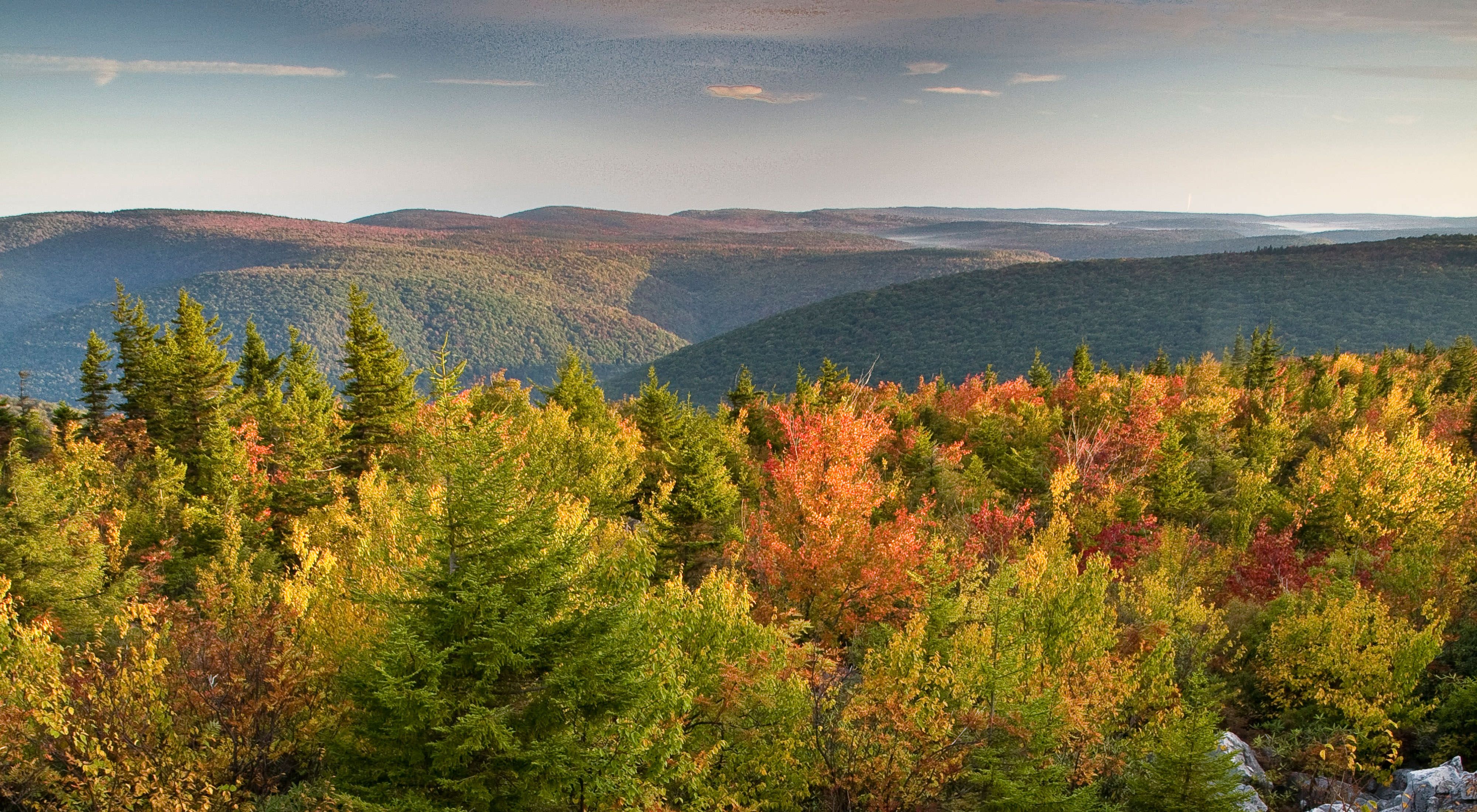 Looking out over rolling mountain ridges that extend to the horizon. Tree tops visible in the foreground show autumn colors of red and gold.