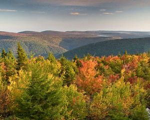 Fort Hill is one of Maryland's best remaining examples of limestone forest;