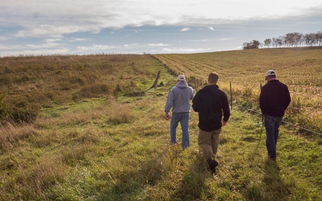 Four people walk away from camera in a field, with another field beside them, fencing in between.