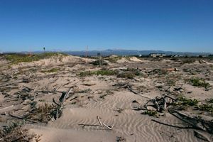 Northeastern view of the front dunes at Ormond Beach, a protected coastal wetlands area and bird nesting site in Ventura County, southern California.     